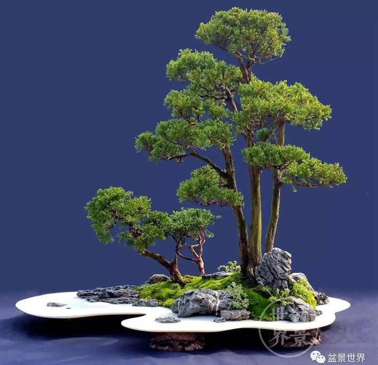 图解 景石的布点是水旱盆景制作的方法