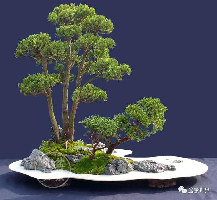 图解 景石的布点是水旱盆景制作的方法