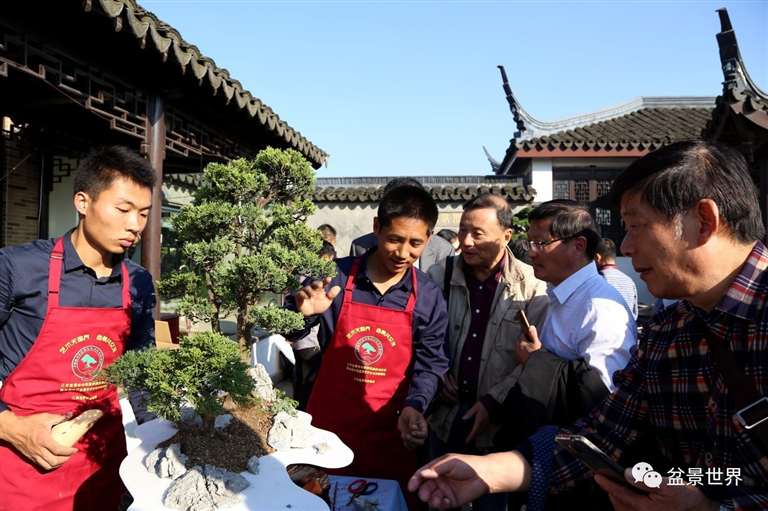 图解 景石的布点是水旱盆景制作的方法