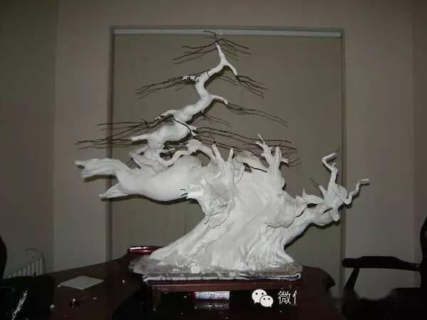 图解 揭秘真柏盆景怎么造假的过程