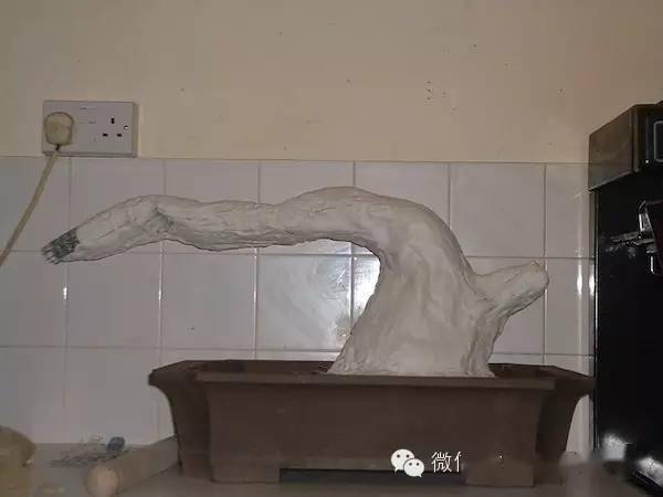 图解 揭秘真柏盆景怎么造假的过程