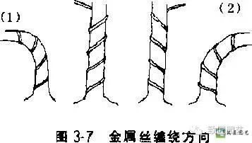 盆景金属丝怎么蟠扎的3个方法