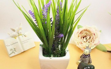 浅谈我国小盆栽物流运输的现状