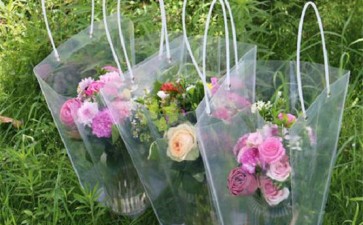 小盆栽怎么包装的3个方式