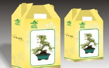 小盆栽电商零售的包装方式