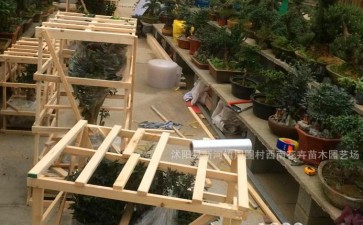 新的小盆栽运输方式有哪些