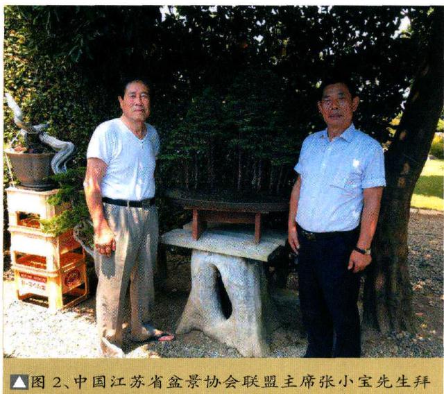 图解 木村先生制作描绘的丛林盆景景观