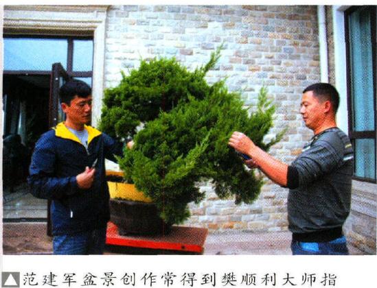 图解 范建军来指点大家如何盆景制作