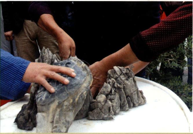 图解 制作特大型山水盆景《武陵风光》