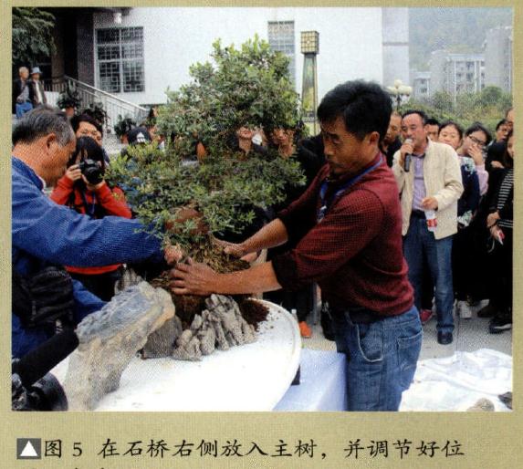 图解 制作特大型山水盆景《武陵风光》