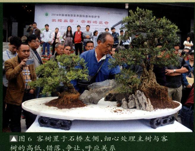 图解 制作特大型山水盆景《武陵风光》