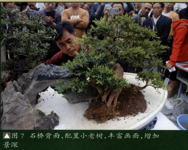 图解 制作特大型山水盆景《武陵风光》