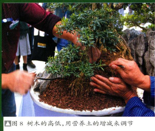 图解 制作特大型山水盆景《武陵风光》