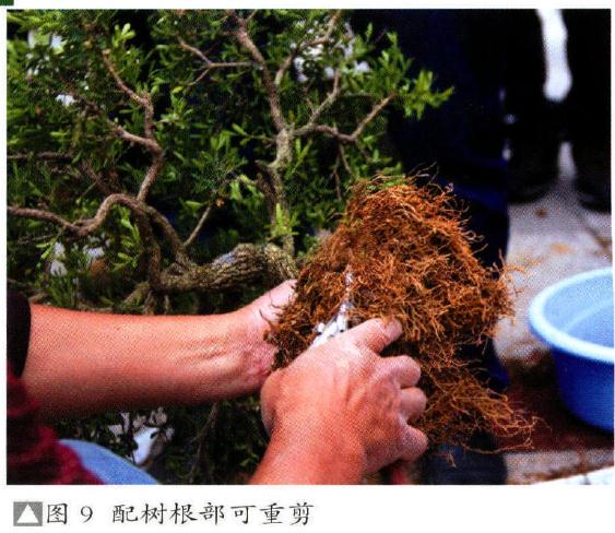 图解 制作特大型山水盆景《武陵风光》