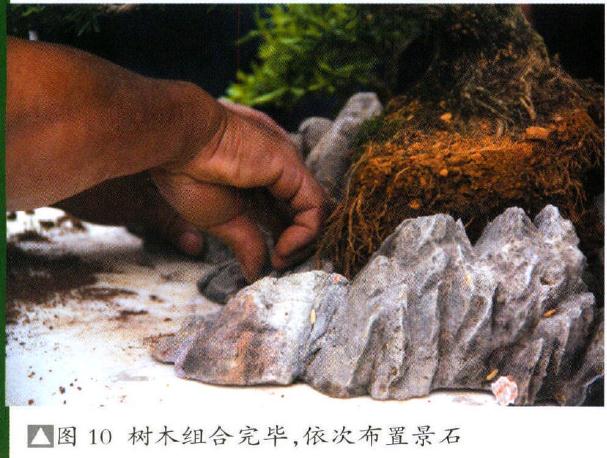 图解 制作特大型山水盆景《武陵风光》