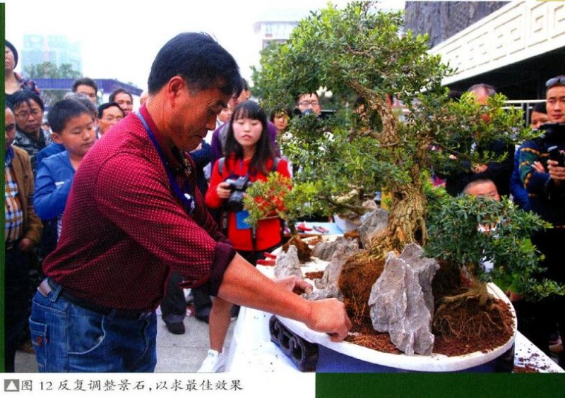 图解 制作特大型山水盆景《武陵风光》