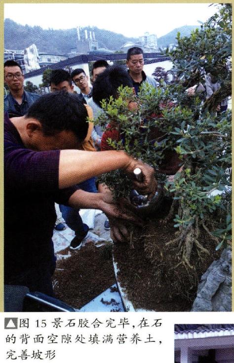 图解 制作特大型山水盆景《武陵风光》