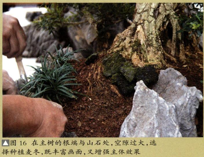 图解 制作特大型山水盆景《武陵风光》