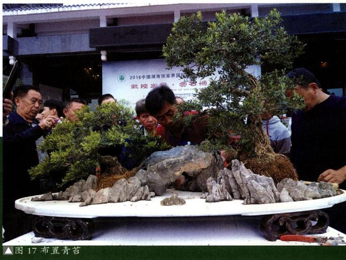 图解 制作特大型山水盆景《武陵风光》