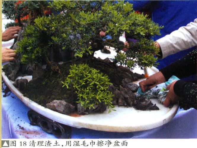 图解 制作特大型山水盆景《武陵风光》