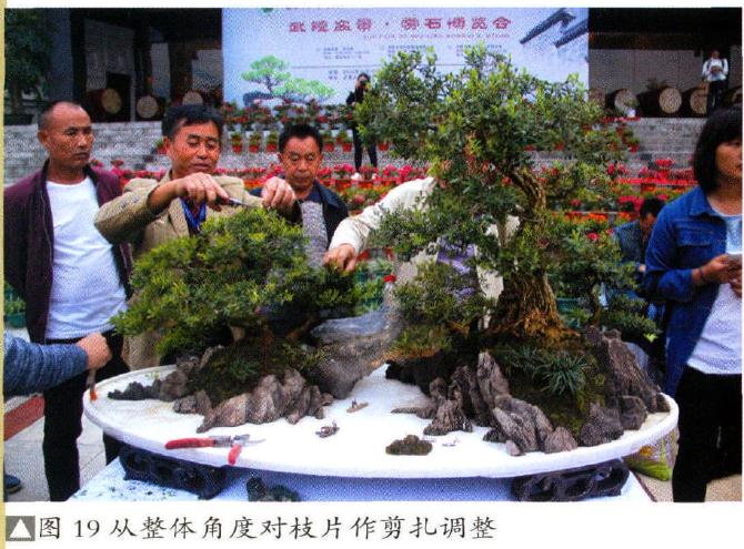 图解 制作特大型山水盆景《武陵风光》