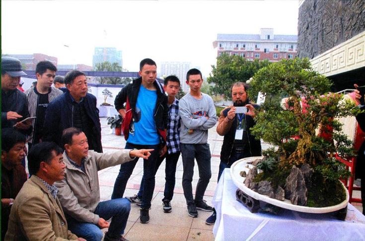 图解 制作特大型山水盆景《武陵风光》