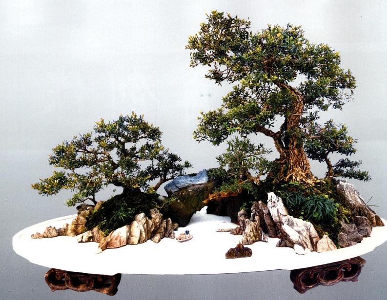 图解 制作特大型山水盆景《武陵风光》