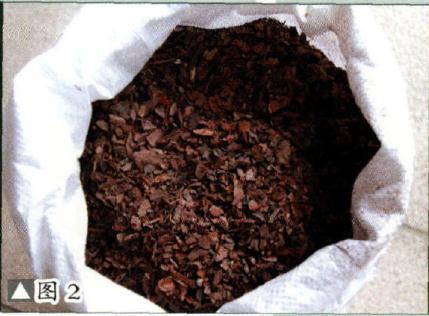 图解 九里香盆景的培养土及上盆措施