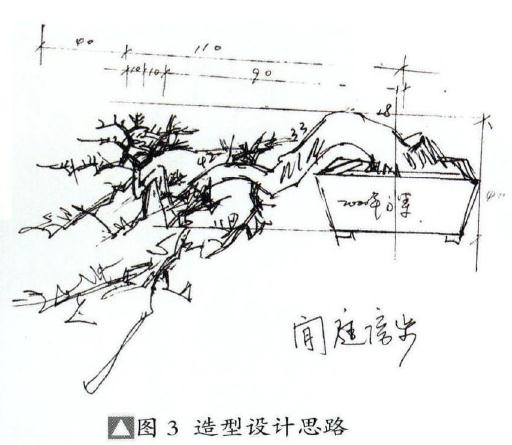 图解 海岛罗汉松盆景18年的制作过程