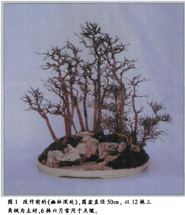 图解 水旱盆景怎么水畔式布局的方法