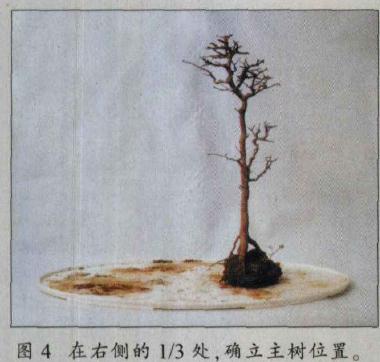 图解 水旱盆景怎么水畔式布局的方法