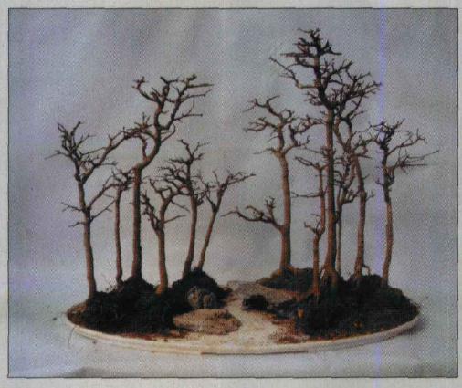 图解 水旱盆景怎么水畔式布局的方法