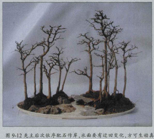 图解 水旱盆景怎么水畔式布局的方法