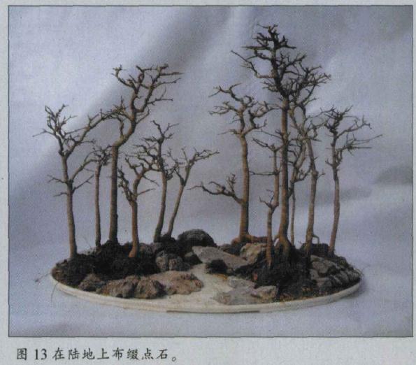 图解 水旱盆景怎么水畔式布局的方法