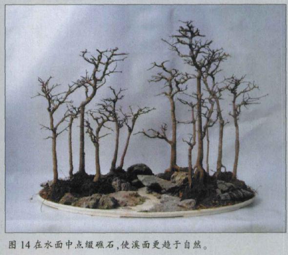 图解 水旱盆景怎么水畔式布局的方法