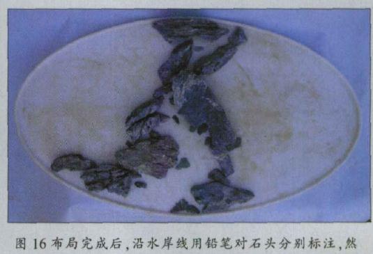 图解 水旱盆景怎么水畔式布局的方法