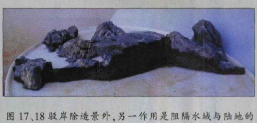 图解 水旱盆景怎么水畔式布局的方法