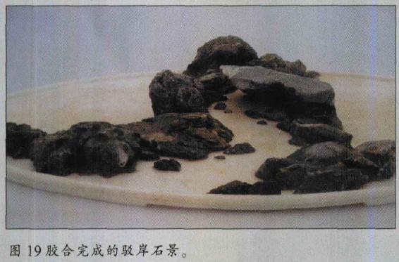 图解 水旱盆景怎么水畔式布局的方法