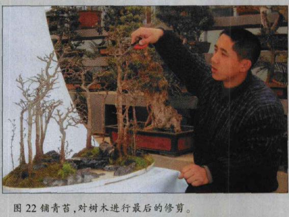 图解 水旱盆景怎么水畔式布局的方法