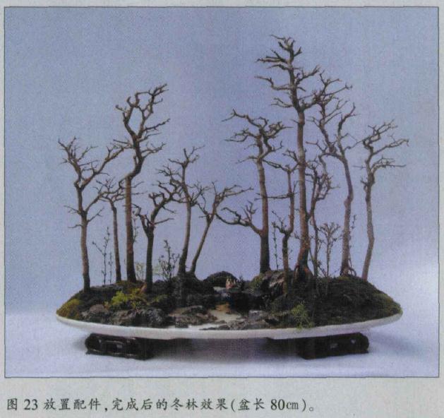 图解 水旱盆景怎么水畔式布局的方法