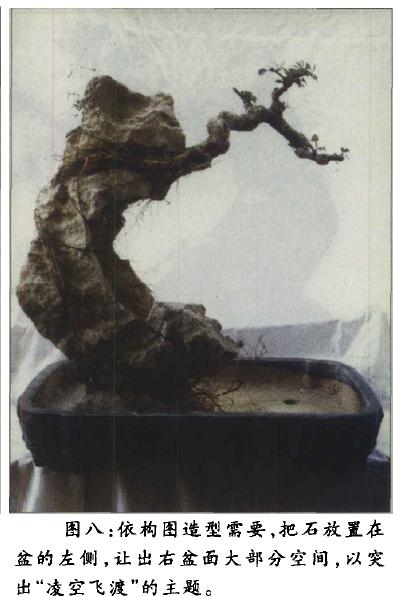 图解 附石盆景《凌空飞渡》怎么创作的过程