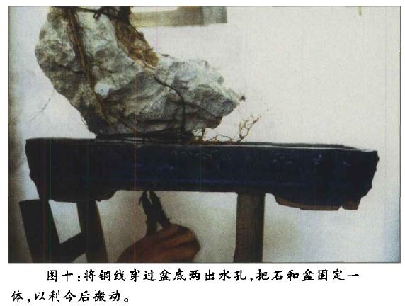 图解 附石盆景《凌空飞渡》怎么创作的过程