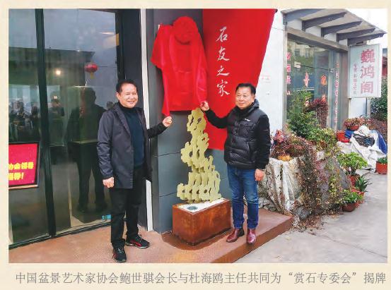 中国盆景艺术家协会成立专业委员会之我见