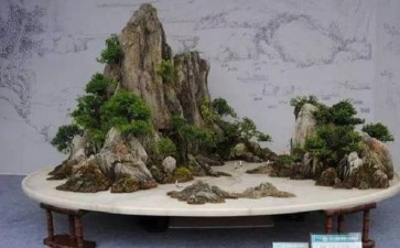 城市怎么参照山水盆景的布局