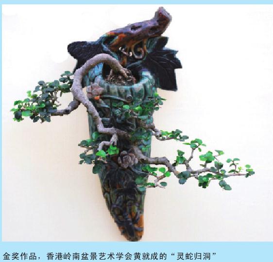 广州国际盆景邀请展