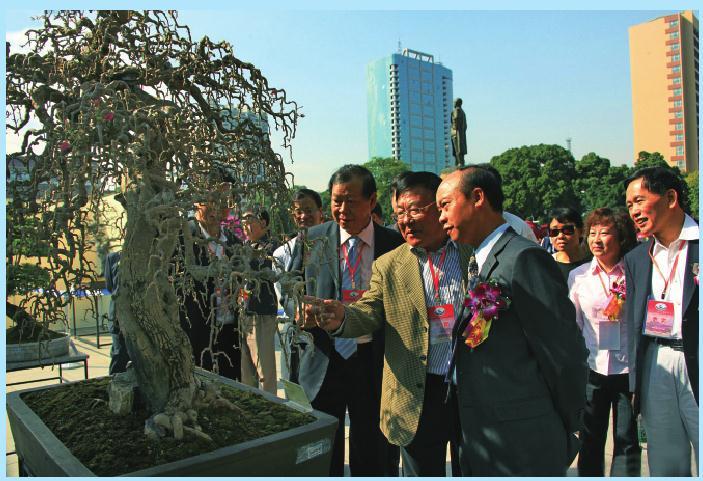 广州国际盆景邀请展