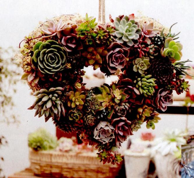 图解 怎么制作多肉花环的过程