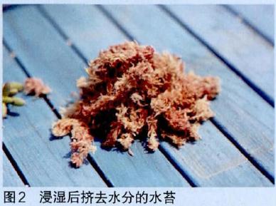 图解 怎么制作多肉花环的过程