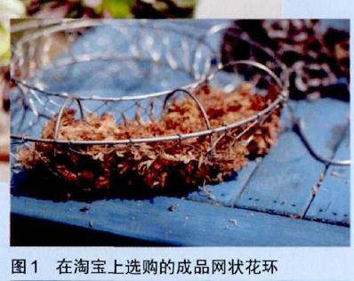 图解 怎么制作多肉花环的过程