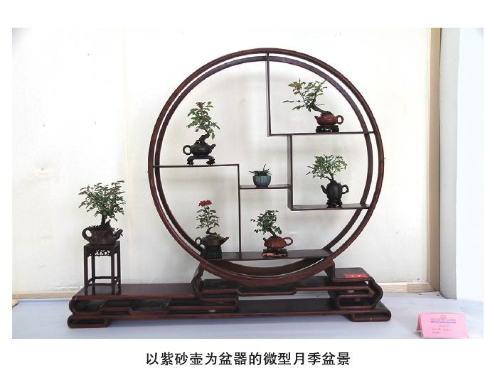 盆景怎么配盆的5个技巧 图片